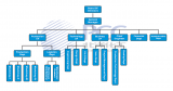 Diagramma organizzativo